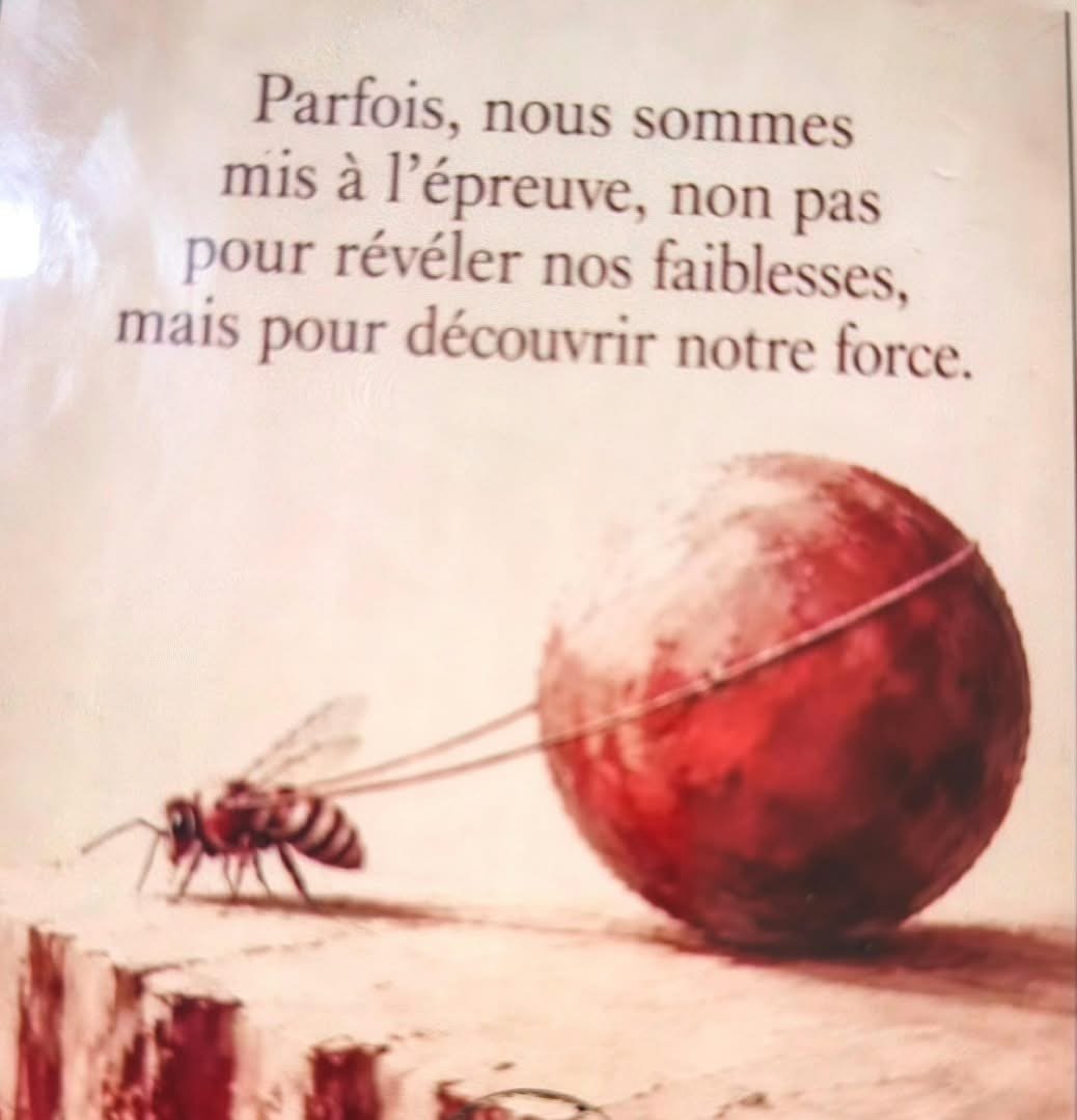 LA VIE NOUS DONNE DES ÉPREUVES, L'EXPÉRIENCE NOUS DONNE LES OUTILS ET LA SAGESSE NOUS APPREND À NOUS EN SERVIR !