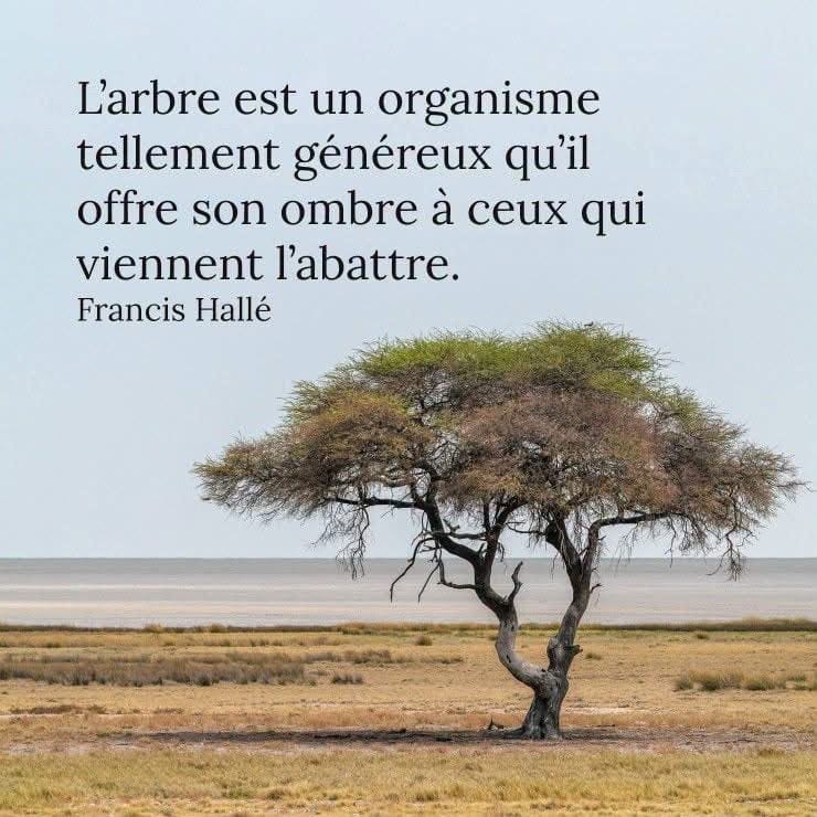 PARFOIS, VOUS AVEZ BESOIN QUE DE MAUVAISES CHOSES SE PRODUISENT DANS VOTRE VIE POUR VOUS INCITER À CHANGER ET À GRANDIR