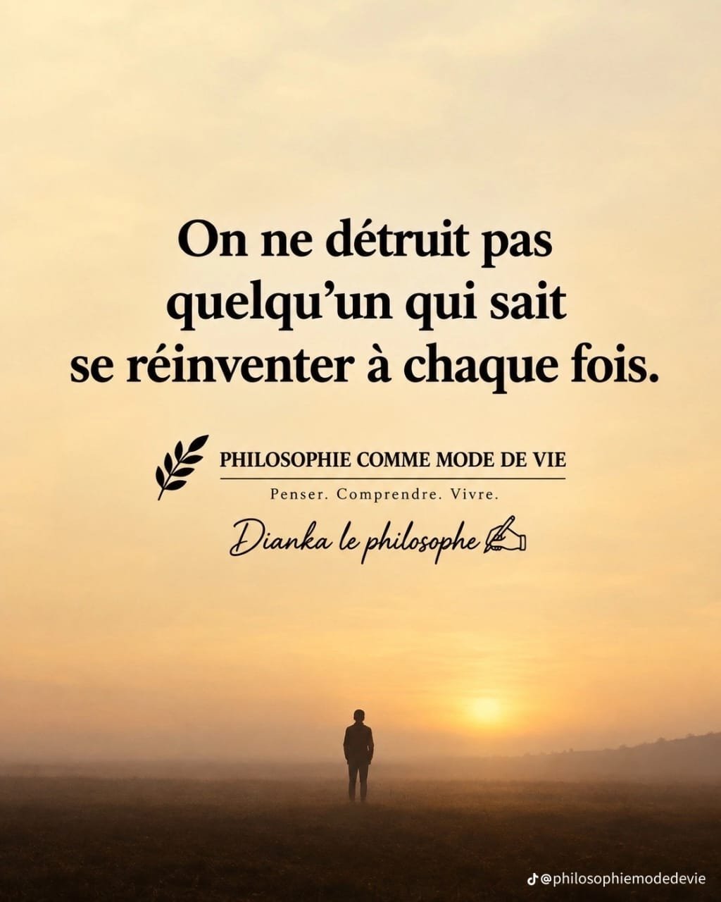 Ne descends jamais de ton niveau pour combattre ceux qui veulent t'y ramener. Elèves-toi tellement que leurs pierres ne puissent plus atteindre ton chemin !